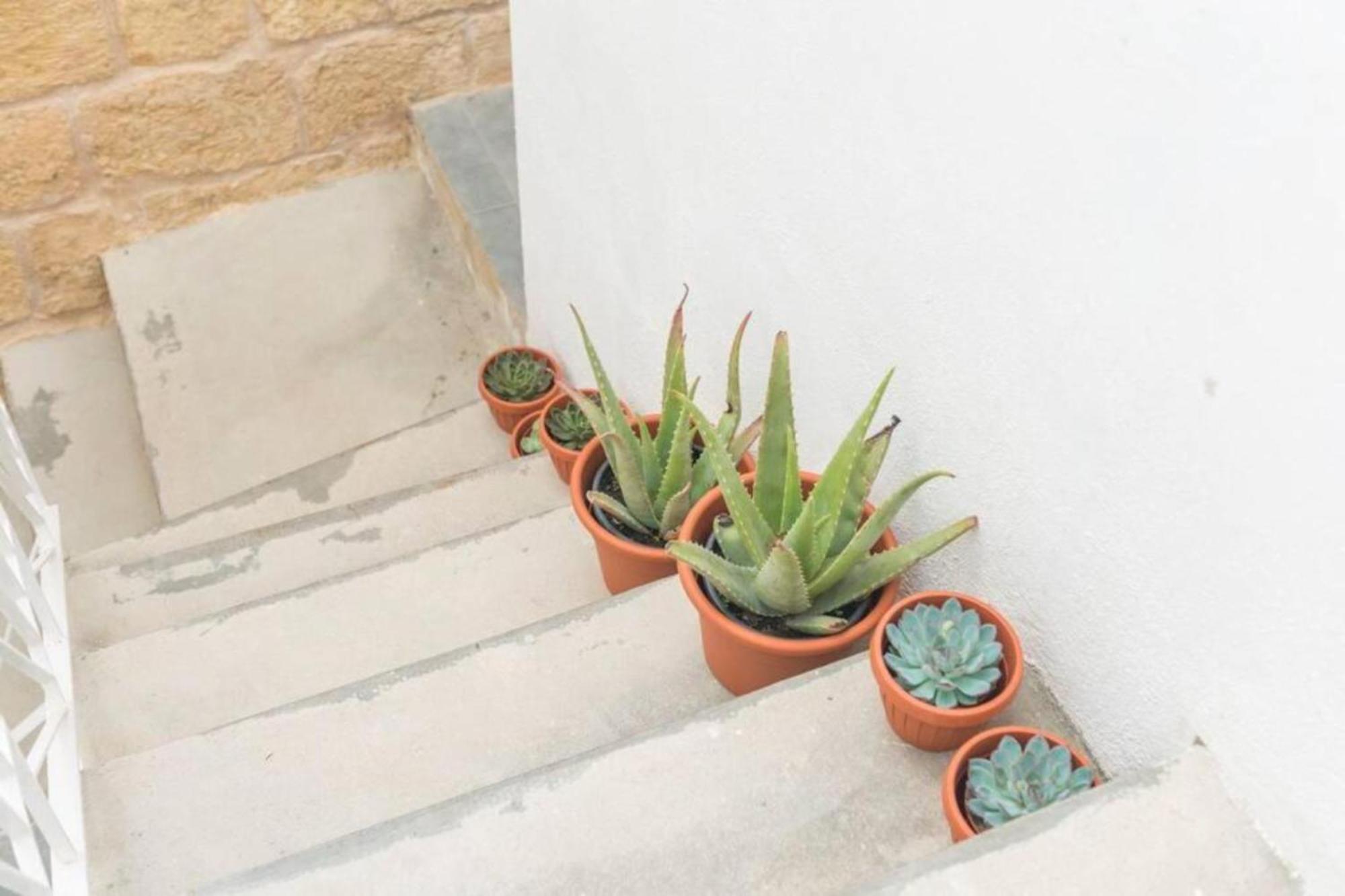 Authentic Gf Apartment With Terrace At The 3 Cities Marina Cospicua Luaran gambar